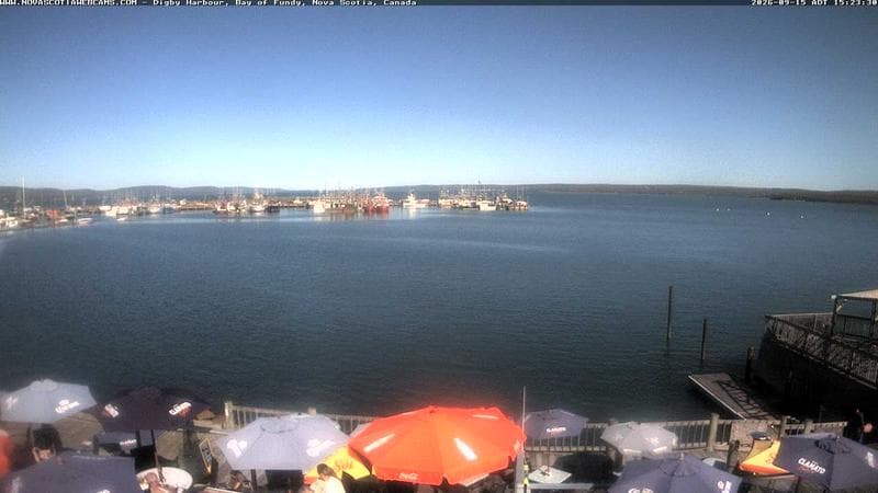Digby Harbour