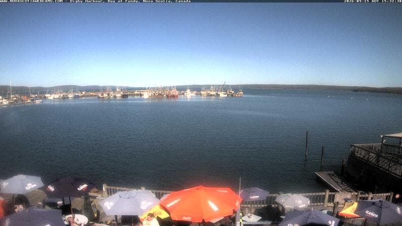 Digby Harbour