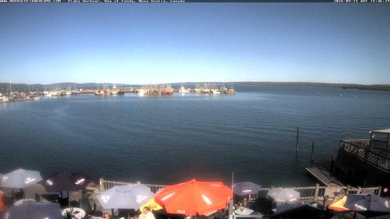 Digby Harbour