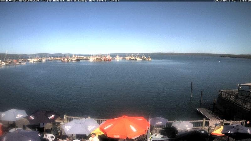 Digby Harbour