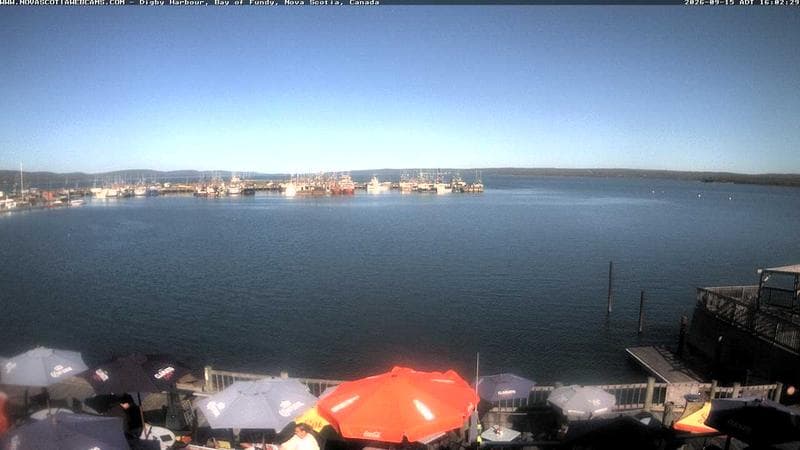 Digby Harbour