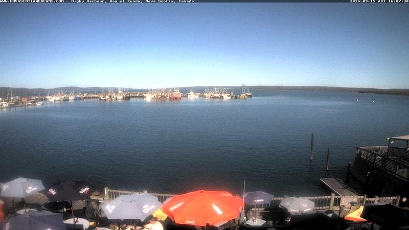 Digby Harbour