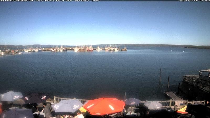 Digby Harbour