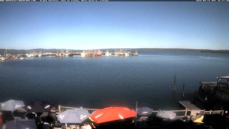 Digby Harbour