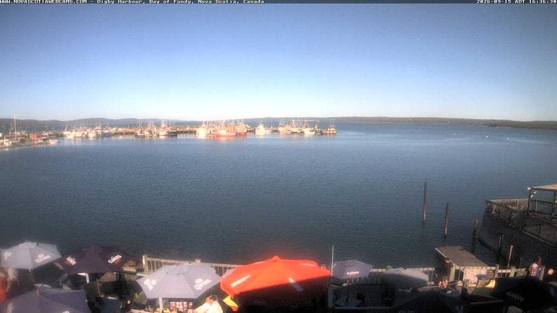 Digby Harbour