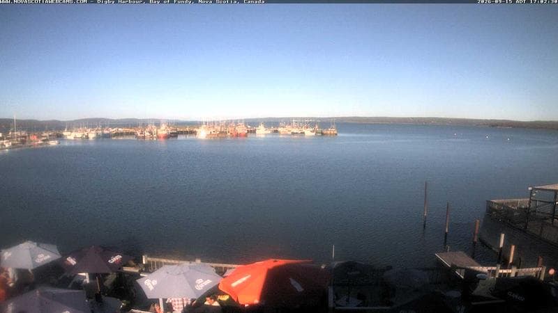 Digby Harbour