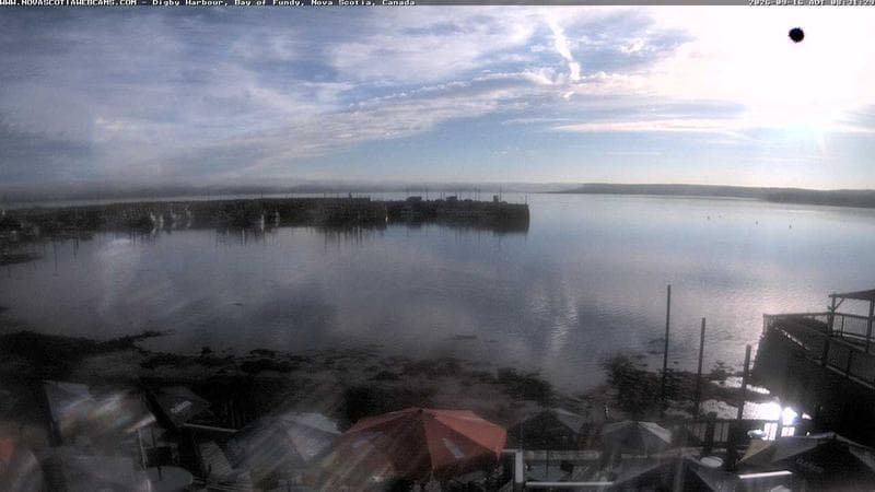 Digby Harbour