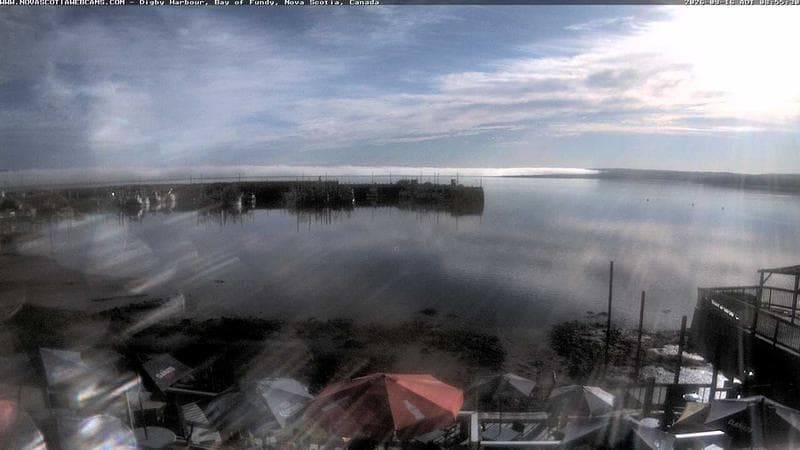 Digby Harbour
