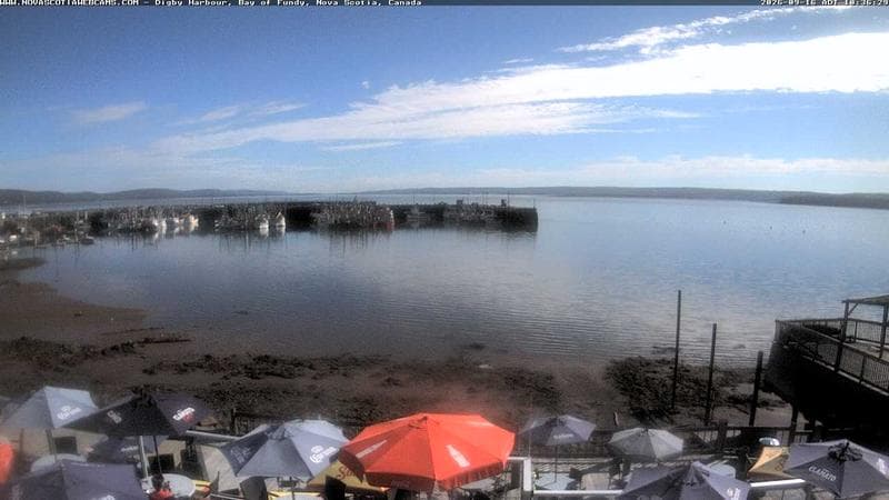 Digby Harbour