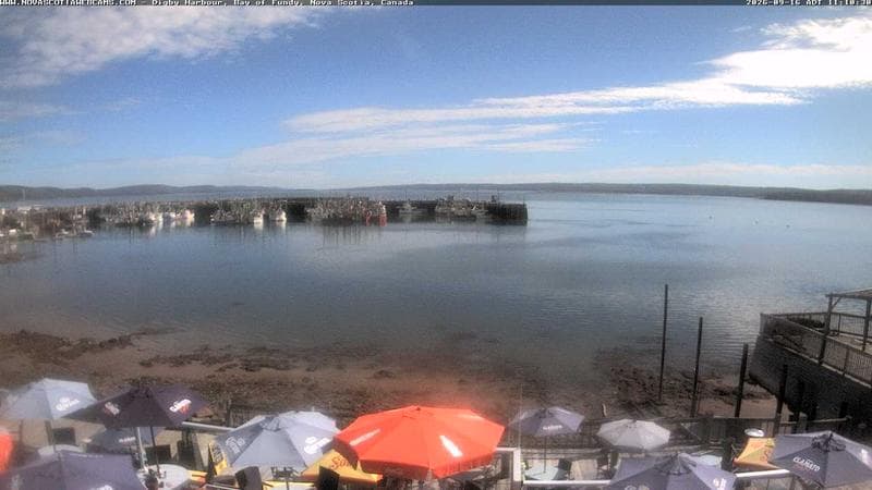 Digby Harbour