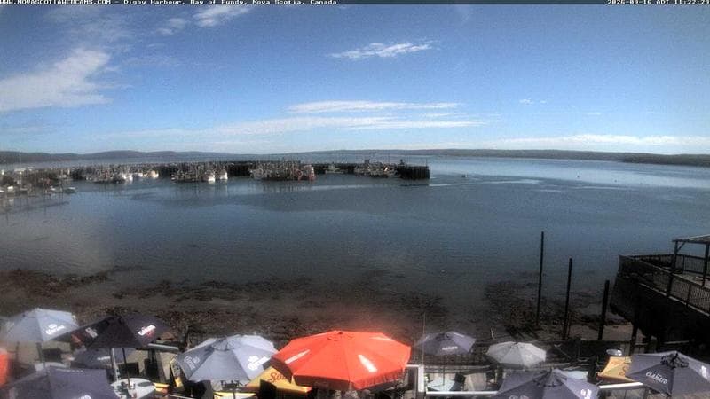 Digby Harbour