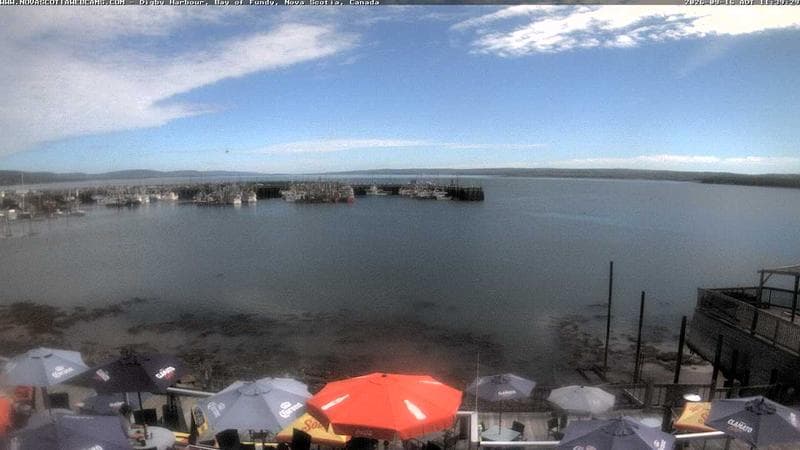 Digby Harbour