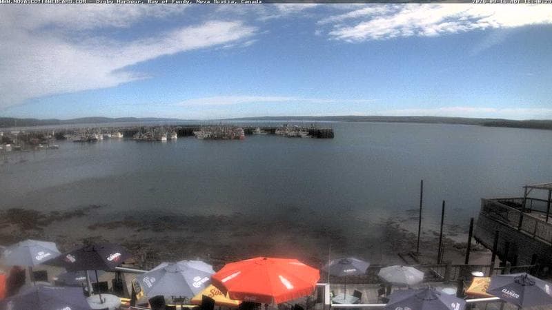 Digby Harbour