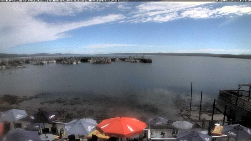 Digby Harbour