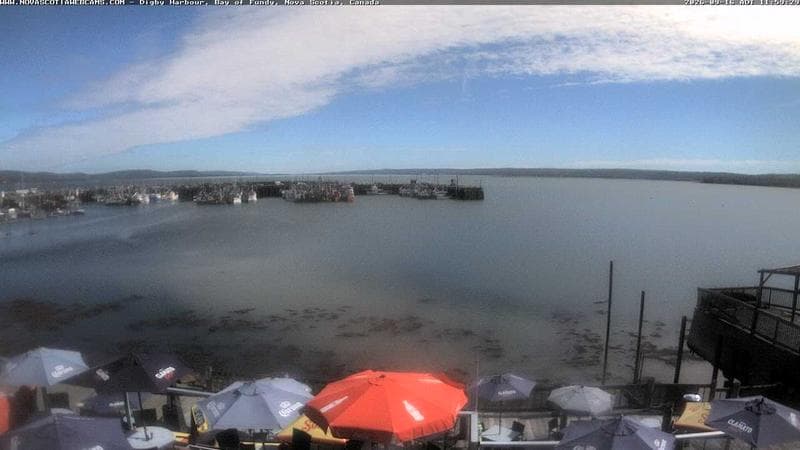Digby Harbour