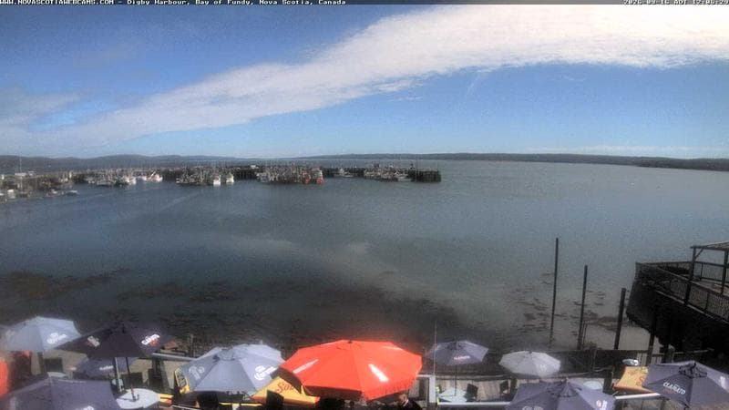 Digby Harbour