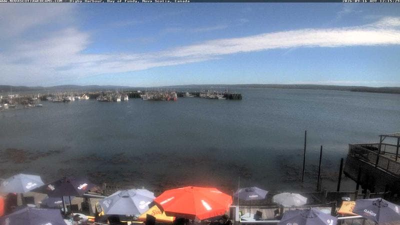 Digby Harbour