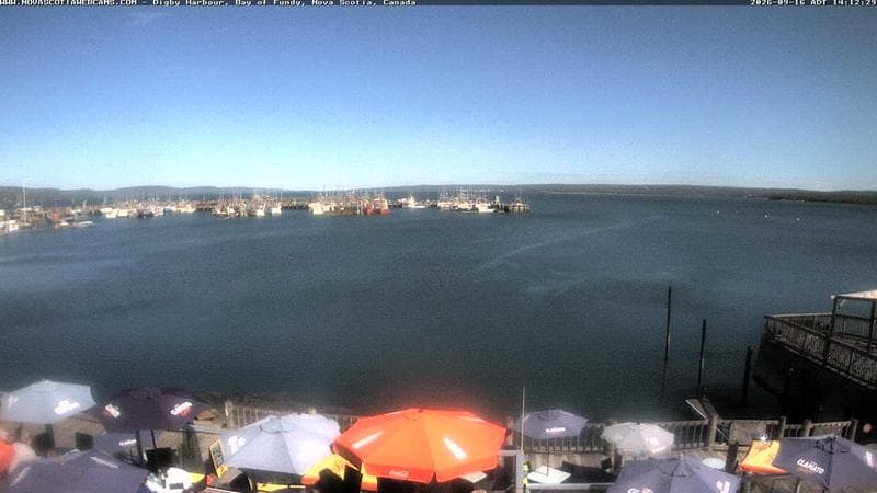Digby Harbour