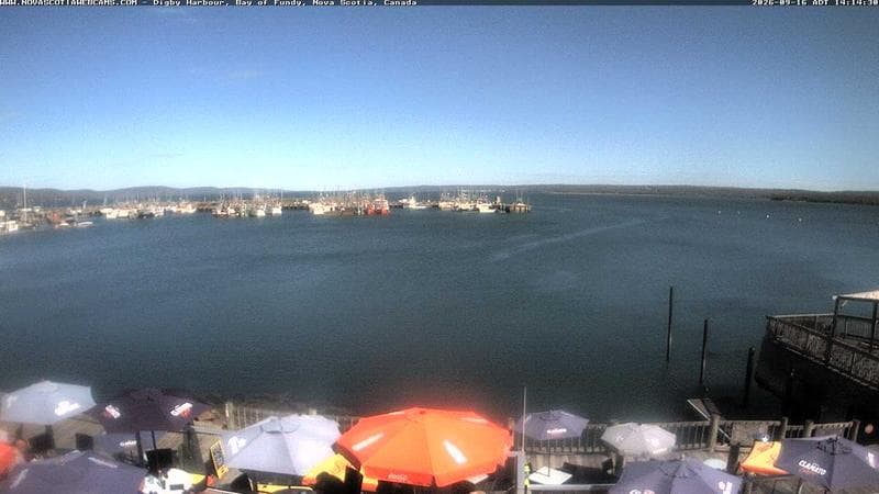 Digby Harbour
