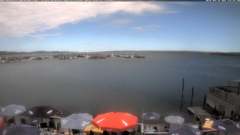 Digby Harbour