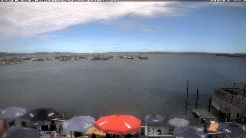 Digby Harbour