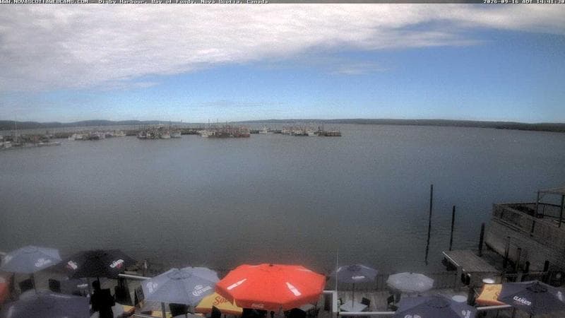 Digby Harbour