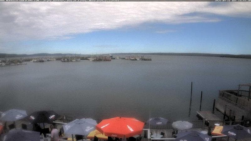 Digby Harbour