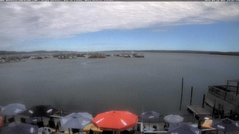 Digby Harbour