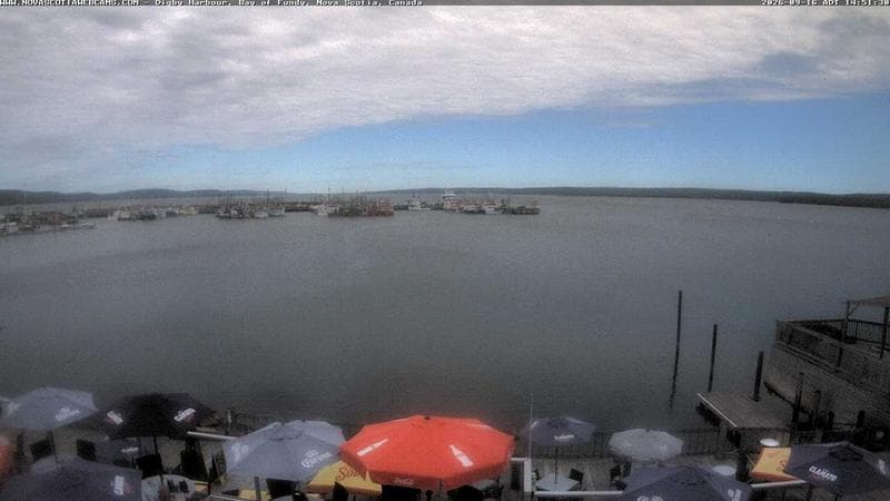 Digby Harbour