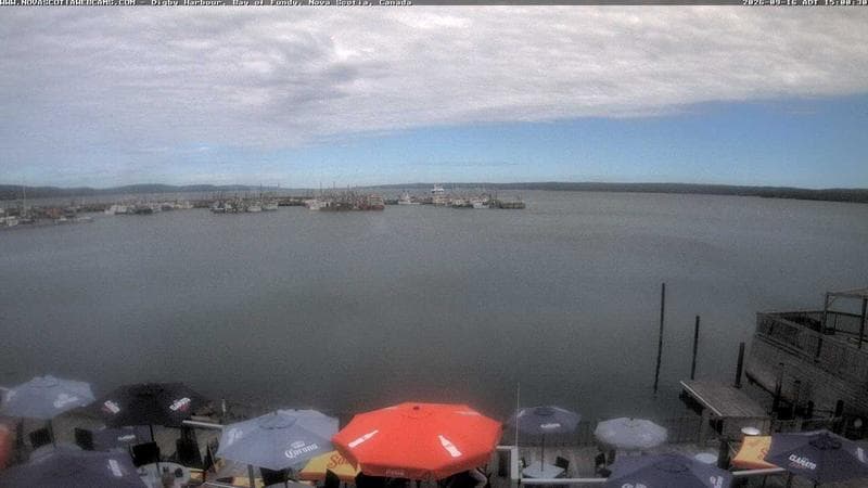 Digby Harbour