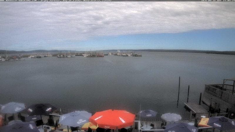 Digby Harbour