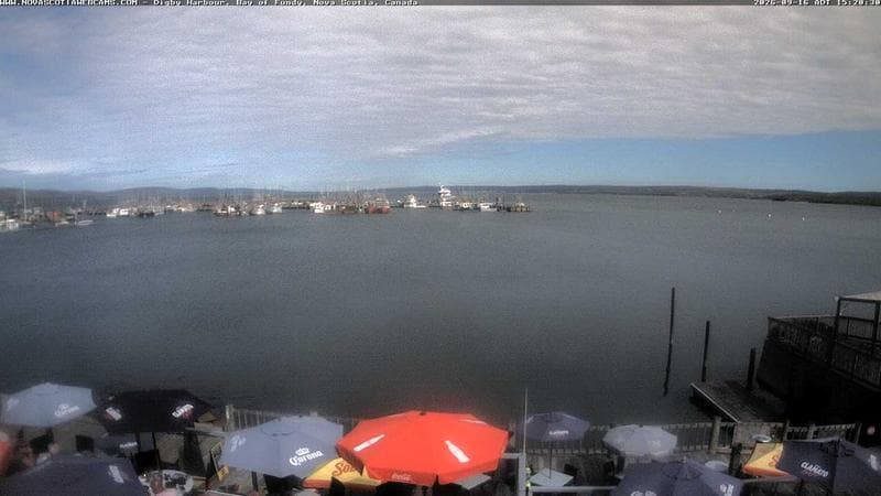 Digby Harbour