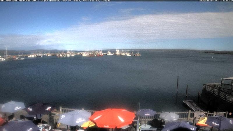 Digby Harbour