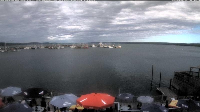 Digby Harbour