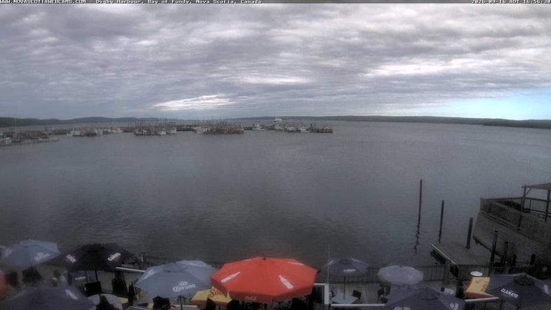 Digby Harbour