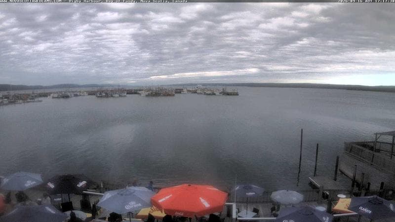 Digby Harbour