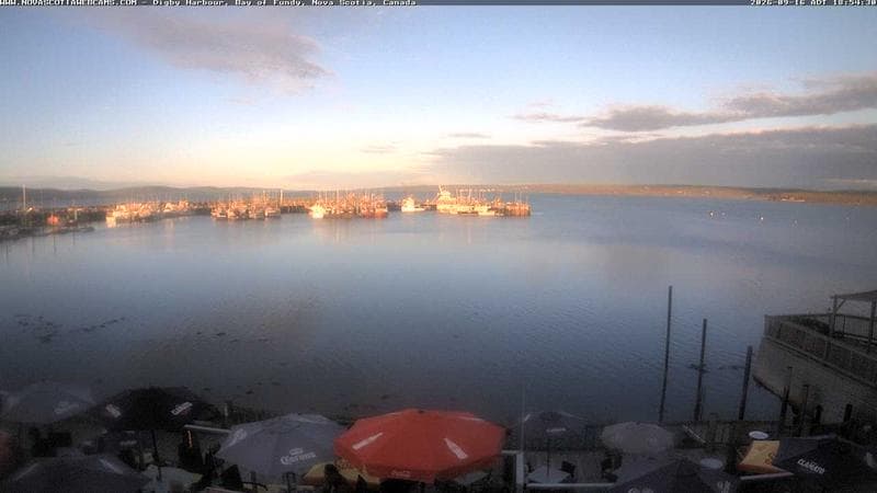 Digby Harbour
