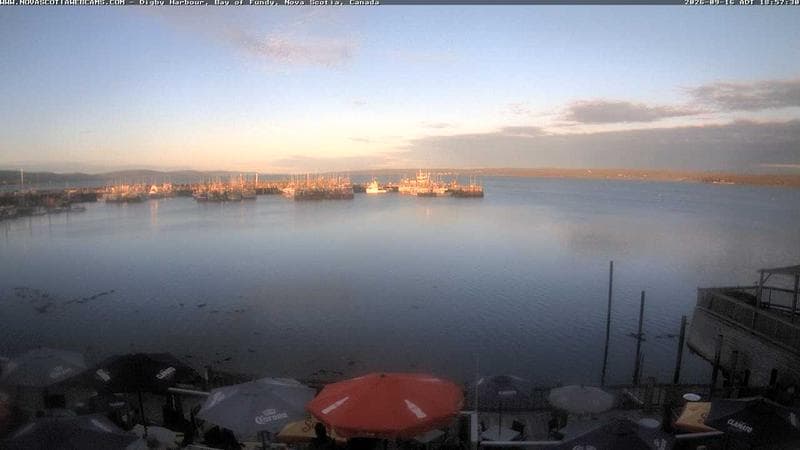 Digby Harbour