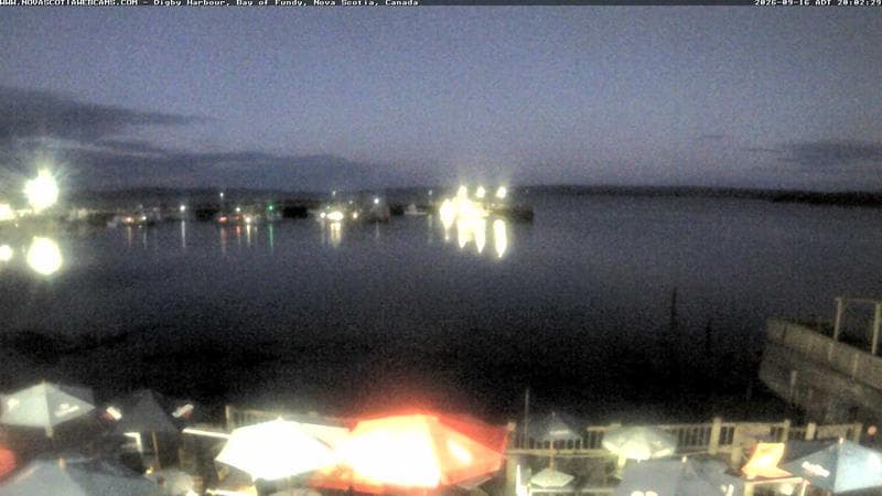 Digby Harbour