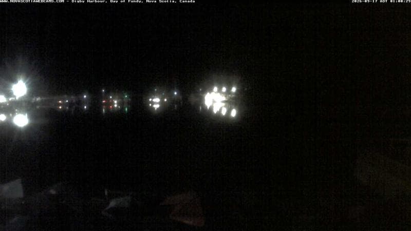 Digby Harbour