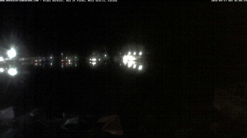 Digby Harbour