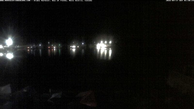 Digby Harbour
