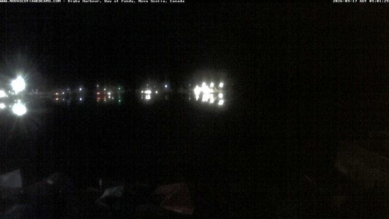 Digby Harbour