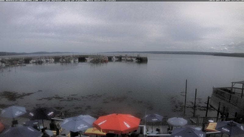 Digby Harbour