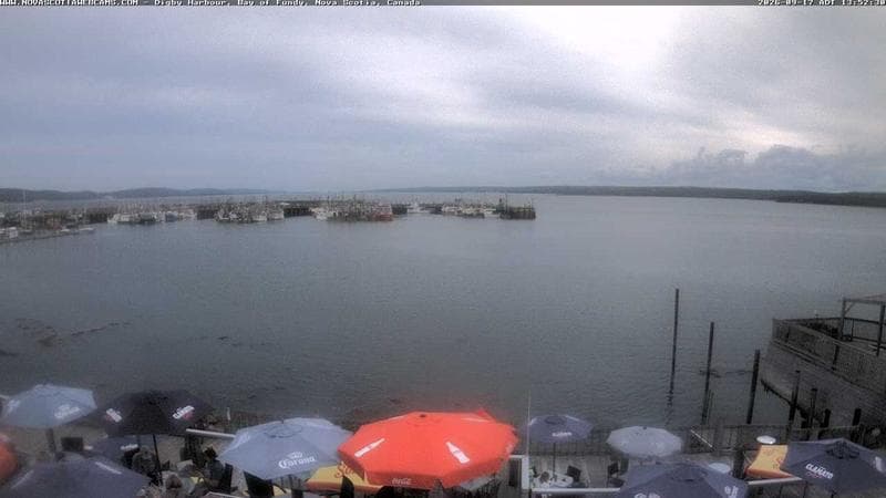 Digby Harbour