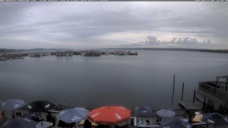 Digby Harbour