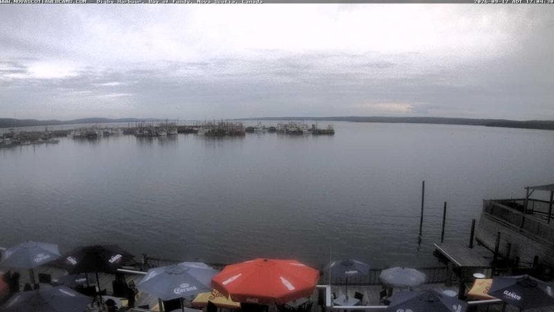 Digby Harbour
