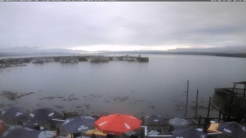 Digby Harbour