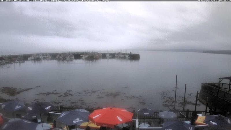 Digby Harbour