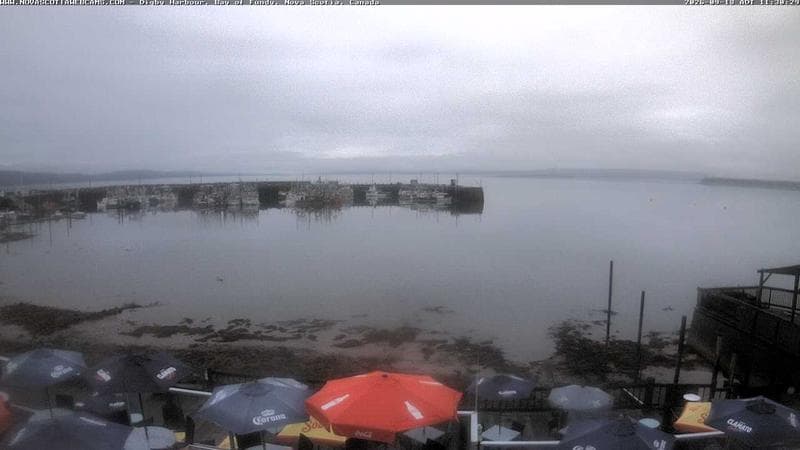 Digby Harbour